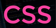 CSS教程