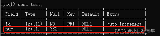 详细深入聊一聊Mysql中的int(1)和int(11)