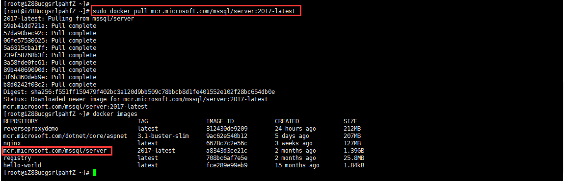 Linux系统通过Docker安装SQL Server数据库