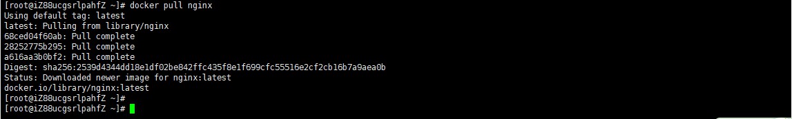 Docker容器下运行Nginx并实现反向代理