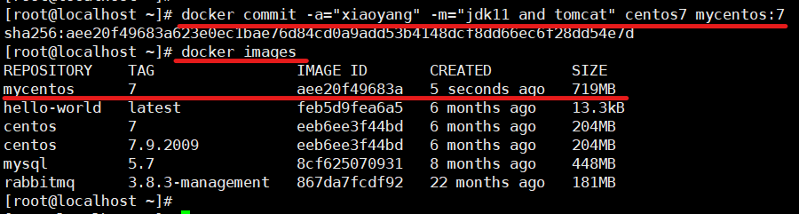 Docker镜像构建之docker commit的使用
