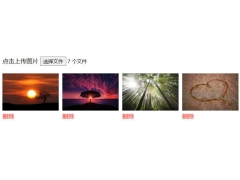 js文件上传前的预览和删除实例代码